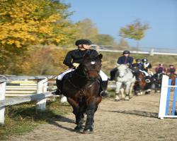 images/hubert/hubertka_003.jpg