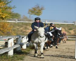 images/hubert/hubertka_004.jpg