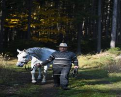 images/hubert/hubertka_011.jpg
