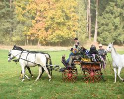 images/hubert/hubertka_014.jpg