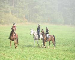 images/hubert/hubertka_015.jpg