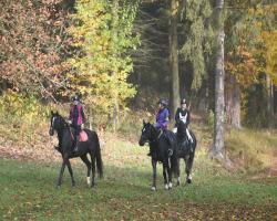 images/hubert/hubertka_016.jpg