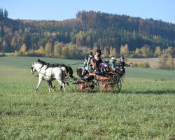 images/hubert/hubertka_022.jpg