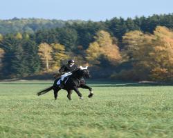 images/hubert/hubertka_023.jpg