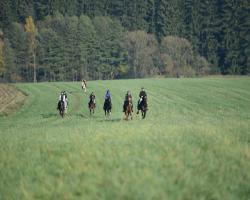 images/hubert/hubertka_026.jpg