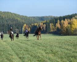 images/hubert/hubertka_027.jpg