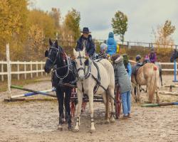 images/hubert/hubertka_039.jpg