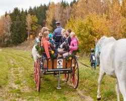 images/hubert/hubertka_044.jpg