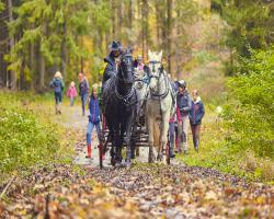 images/hubert/hubertka_067.jpg