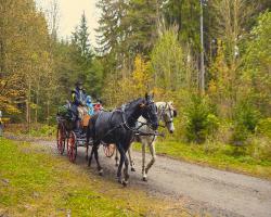 images/hubert/hubertka_068.jpg