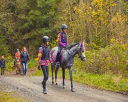images/hubert/hubertka_069.jpg