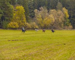 images/hubert/hubertka_078.jpg