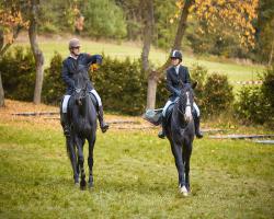 images/hubert/hubertka_084.jpg