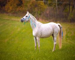 images/hubert/hubertka_094.jpg