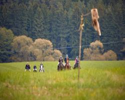 images/hubert/hubertka_097.jpg