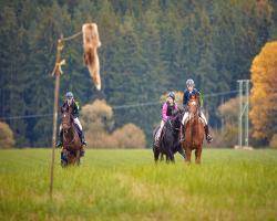 images/hubert/hubertka_098.jpg