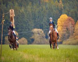 images/hubert/hubertka_099.jpg