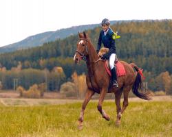 images/hubert/hubertka_102.jpg