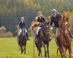 images/hubert/hubertka_103.jpg