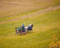 images/hubert/hubertka_107.jpg