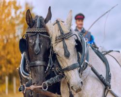 images/hubert/hubertka_112.jpg