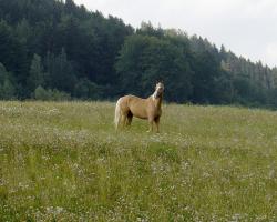 images/krasnefoto/DSC03103A.jpg