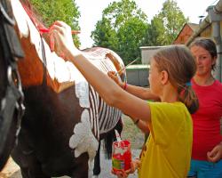 images/tabory/tabory_013.jpg