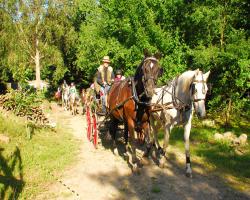 images/tabory/tabory_024.jpg